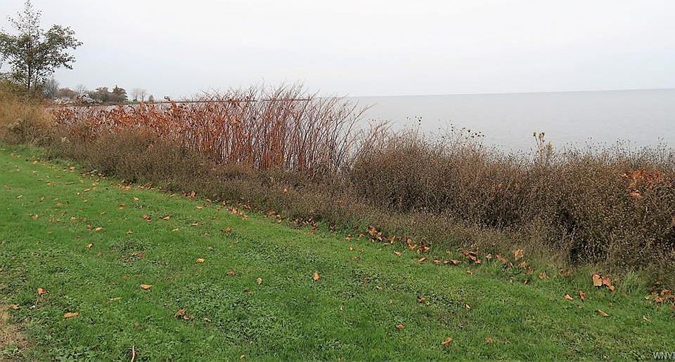 2nd image of 14466 Lakeshore Rd