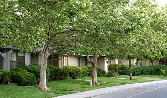 3 bed, 1450 sqft, $3,150 — Photo 2
