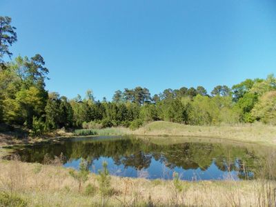 10217 Paradise Valley, Conroe, TX, 77304