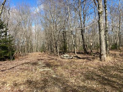 Lot 066 Eastside Road, Hancock, ME, 04640