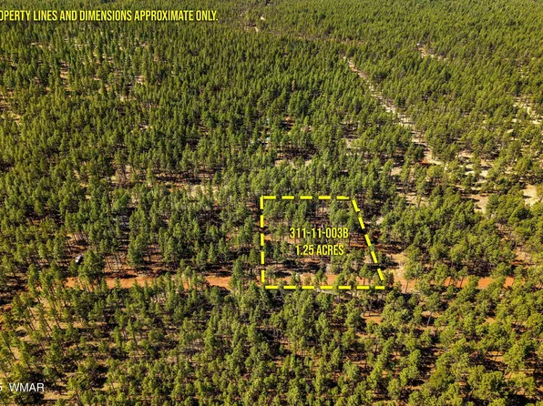 NULLD Birdsong Way, Lakeside, AZ 85929