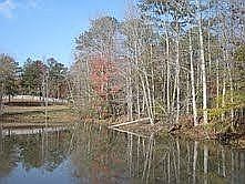 Bass, Croppie, Catfish, Brim