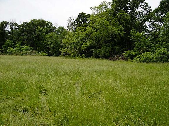 2nd image of Banks Ln
