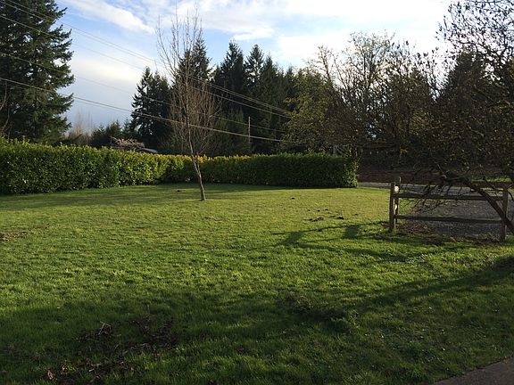 Front yard