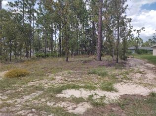 1051 W Cary Dr, Citrus Springs, FL 34434