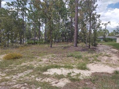 1051 W Cary Dr, Citrus Springs, FL, 34434