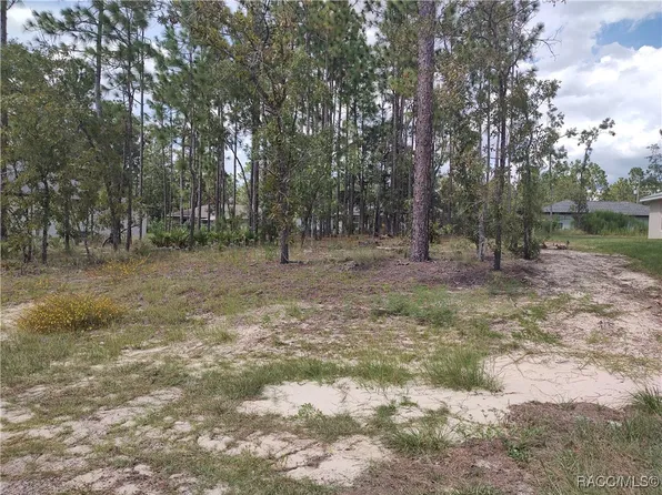 1051 W Cary Dr, Citrus Springs, FL 34434