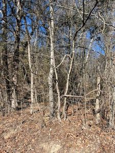 0 Banther Rd #2, Harrison, TN, 37341