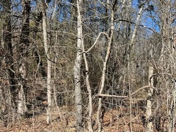 0 Banther Rd #2, Harrison, TN 37341
