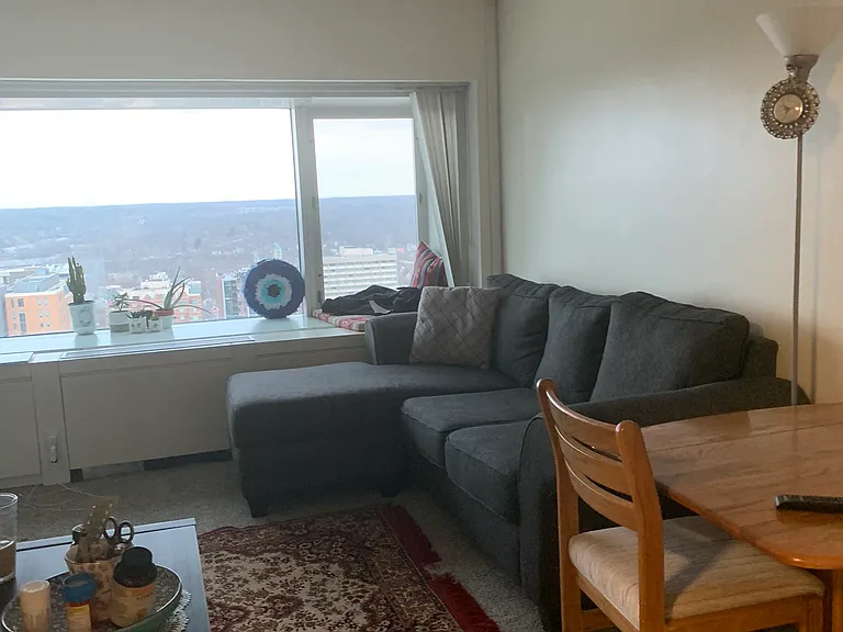 555 E William St #24F — Photo 11