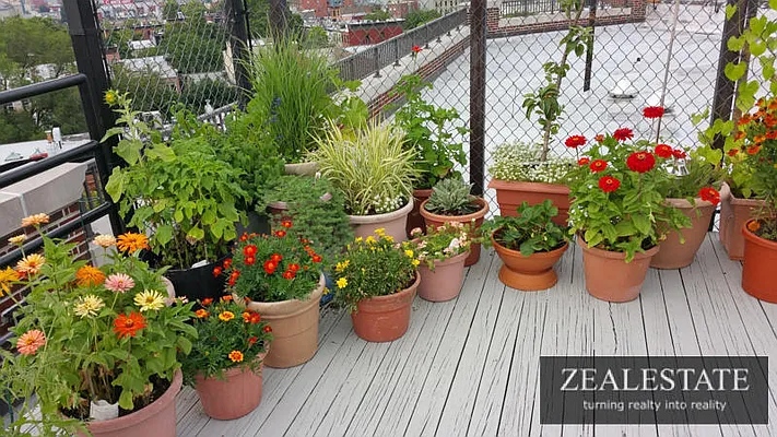 Rented by ZealEstate Group Inc | media 11