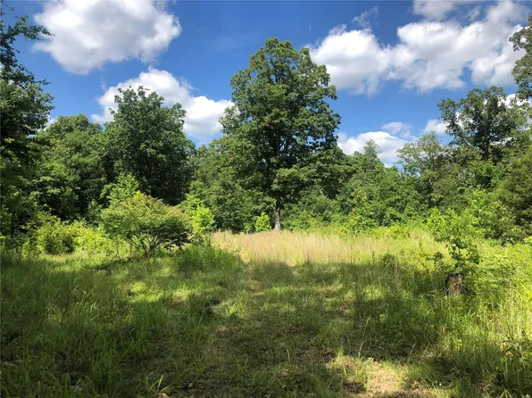 391 Joe Raymond Rd, Poplar Bluff, MO 63901