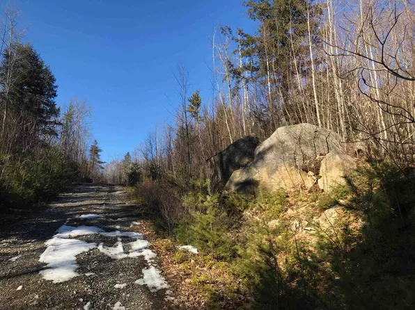 6-44-3 Bog Road, Hillsborough, NH 03244