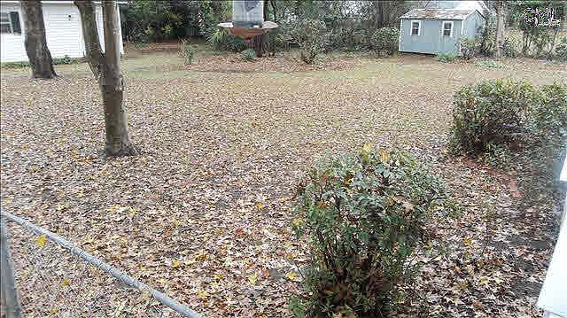 2nd image of 530 B Ave