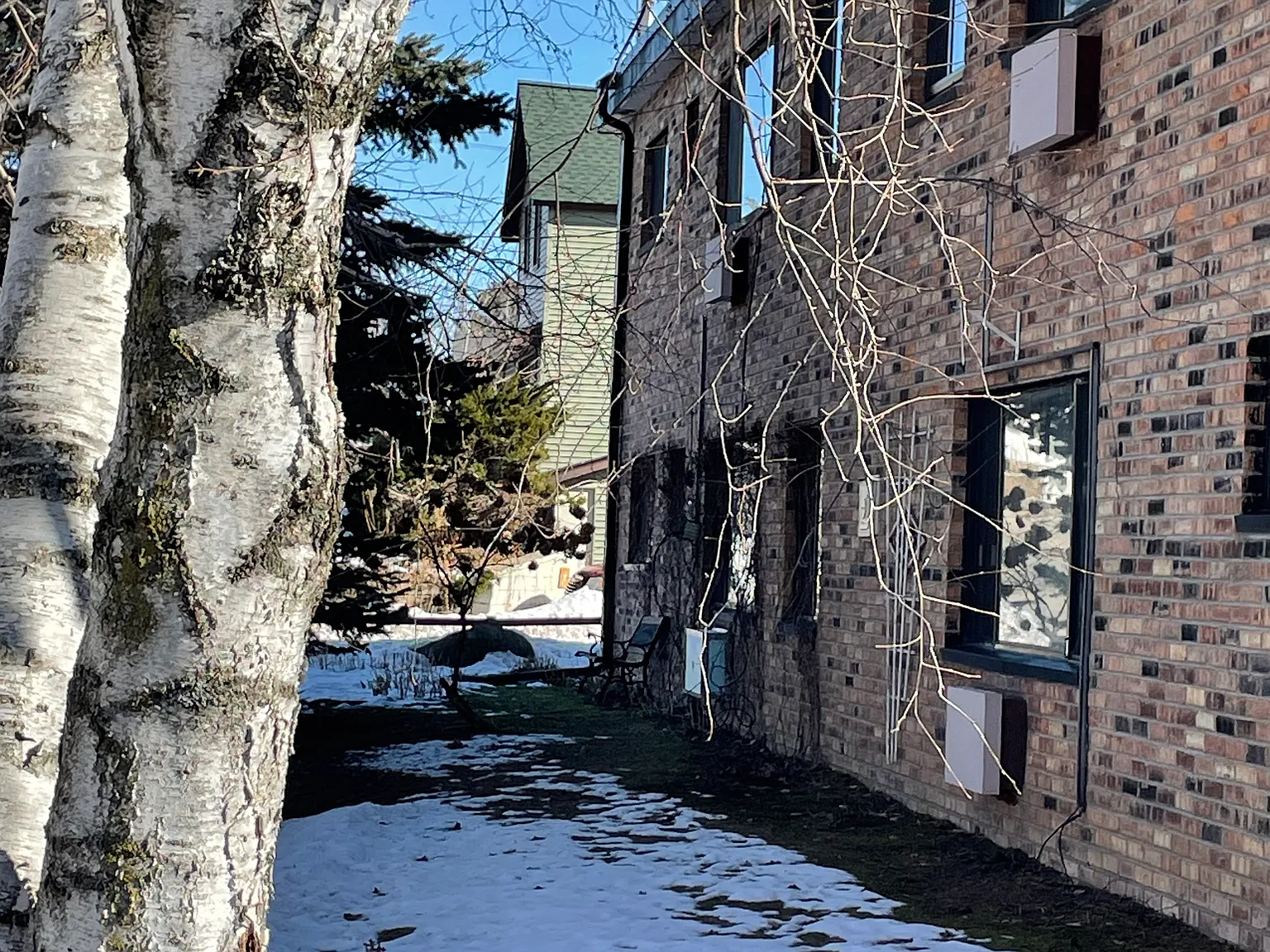 1 bed, 500 sqft, $525 — Photo 3