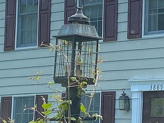 4th image of 3889 Maryland Manor Dr