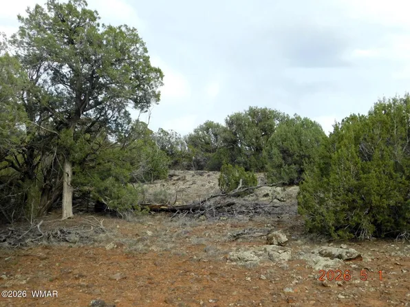 2122 Dawn Pl, Show Low, AZ 85901