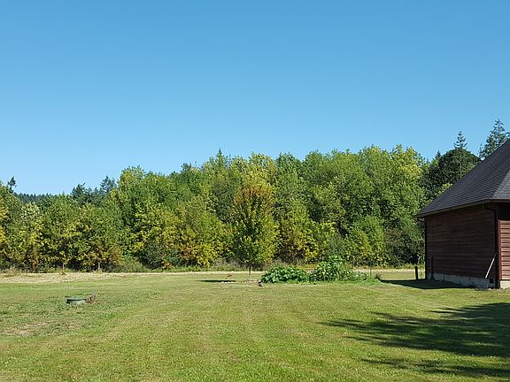 North Side View of Back Yard