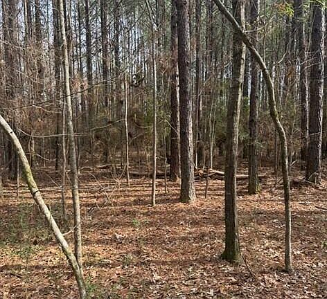 4th image of Rosemound Loop