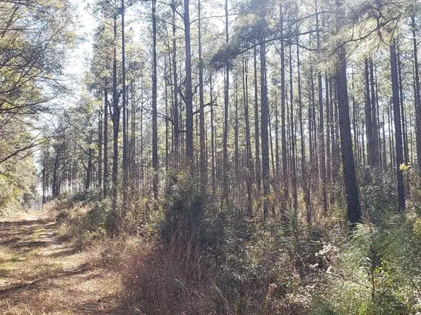0 Bean Rd, Osyka, MS 39657