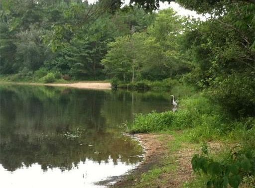 2nd image of 29 Wampanoag Way
