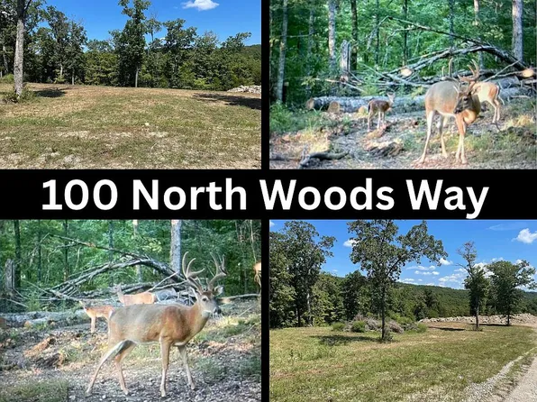 100 N Woods Way, Branson, MO 65616
