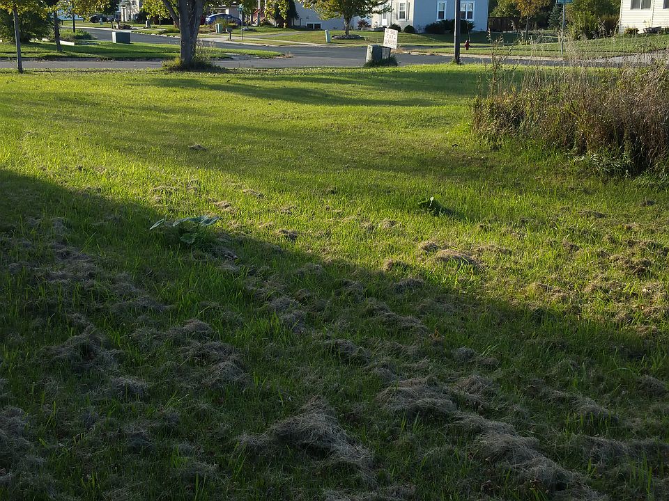 2nd image of 1900 Wilcox Blvd W