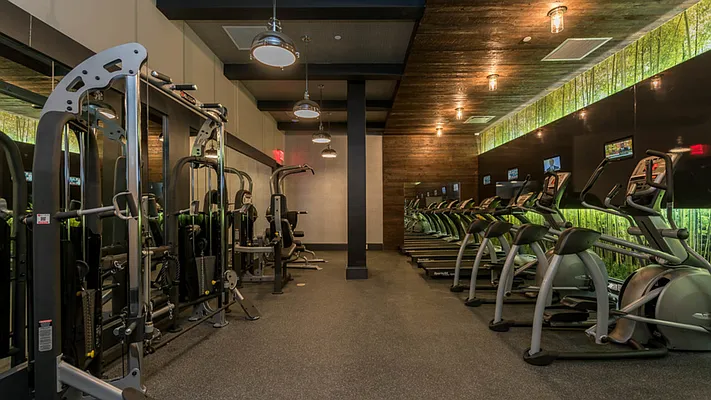 Rented by Nooklyn NYC LLC | media 55