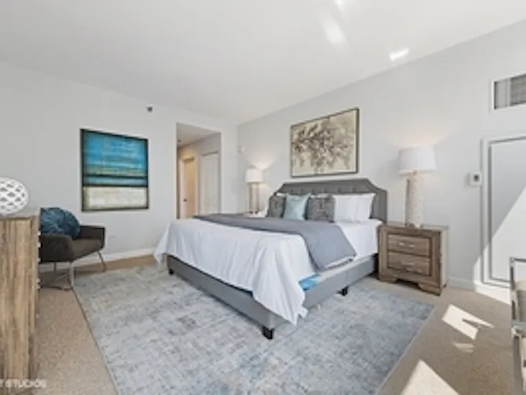1250 S Michigan Ave #2506 — Photo 8