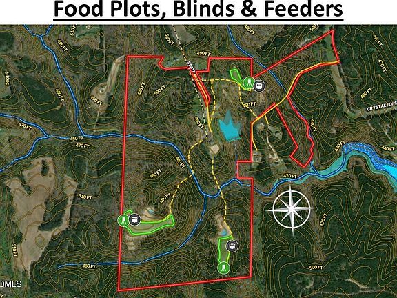 81st image of this home