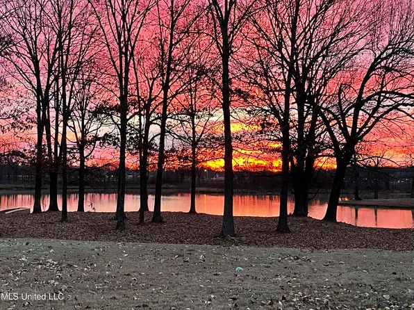 6777 Tyler Dr, Walls, MS 38680