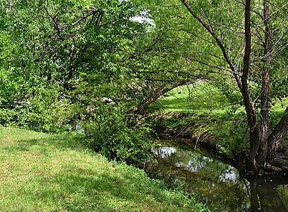 3rd image of 7042 Turtle Creek Ln