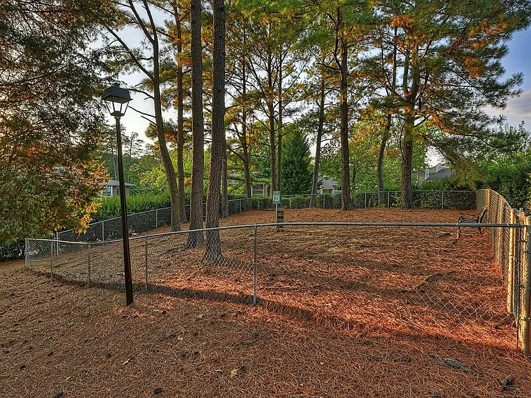 Bark Park