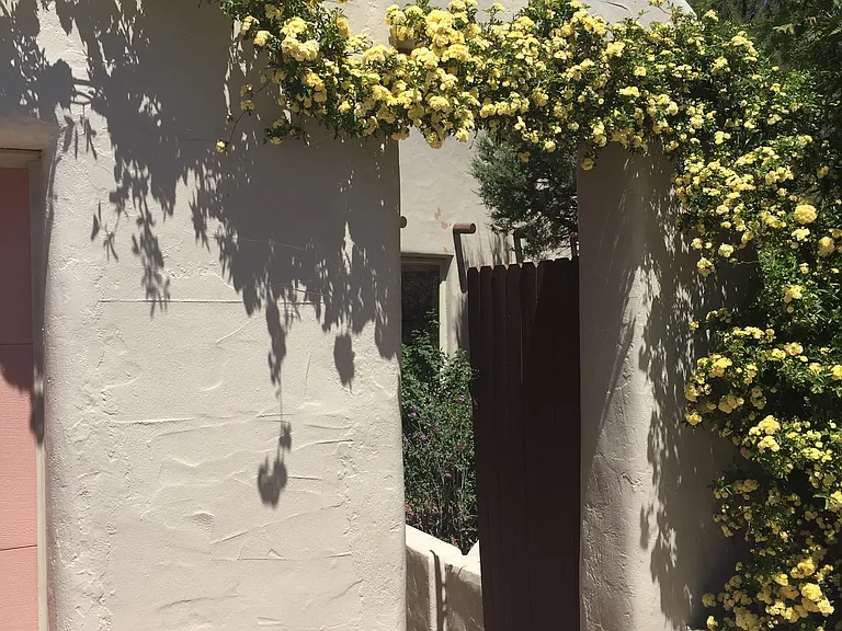 Candlewood Ln — Photo 3