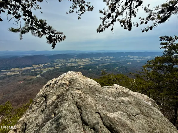 605 Devils Nose Rd #2, Rogersville, TN 37857