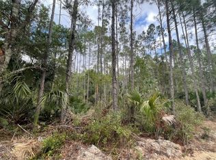 LOT 46 SW 61st St, Cedar Key, FL 32625
