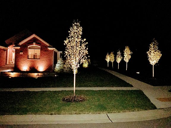 2nd image of 3163 Ramzi Ln