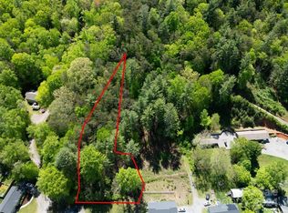 99999 Bee Tree Rd, Swannanoa, NC 28778