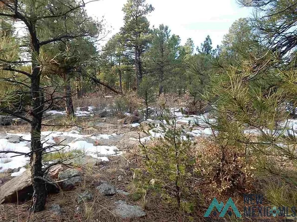Tbd County Road 13, Buena Vista, NM 87712