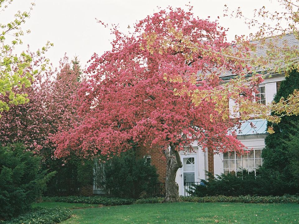 Large Charming Duplex, 3324 Aberdeen Dr. Shaker Heights, Ohio