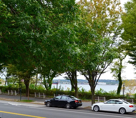 Rented by Excelle Realty Group LTD | media 9