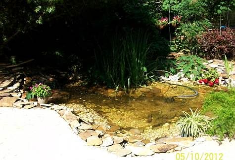 beautifully landscap