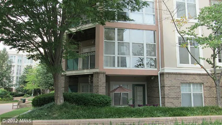 5565 Seminary Rd #208 — Photo 7