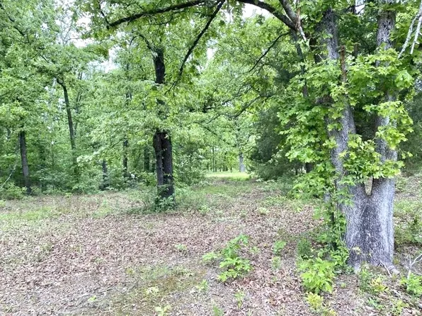 Fm 3298, Powderly, TX 75473