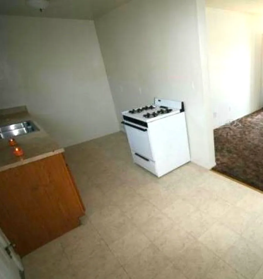 1 bed, 500 sqft, $1,500 — Photo 4