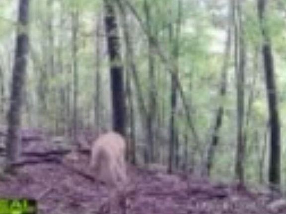 2nd image of 670 Curt Rd