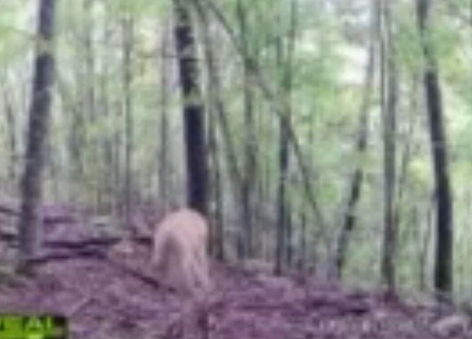 2nd image of 670 Curt Rd