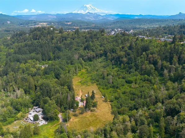 11120 Ohop Valley Extension Road E, Eatonville, WA 98328