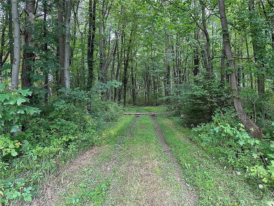 2nd image of 16408-119 State Hwy N