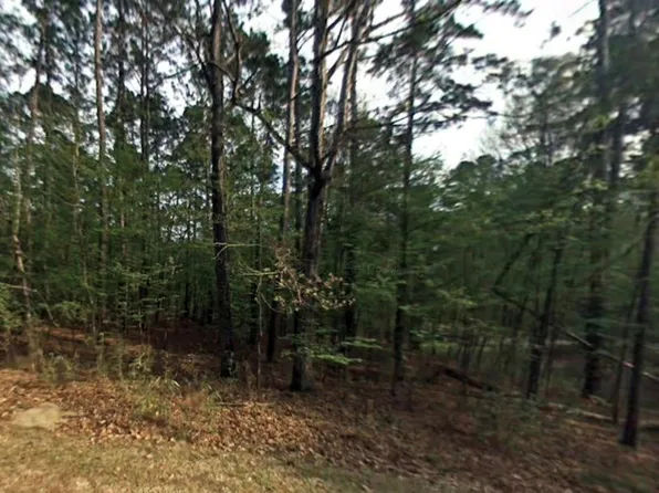 58 S Pine Harbour Dr, Coldspring, TX 77331